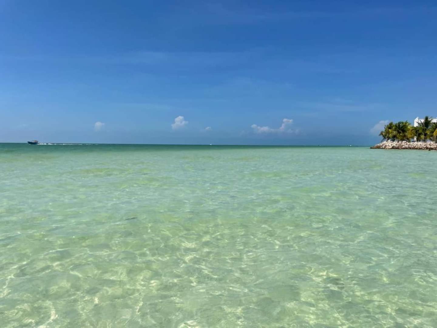 Hotel Pool View Loft Steps From The Ocean In Punta Cocos - C101 à Holbox Extérieur photo