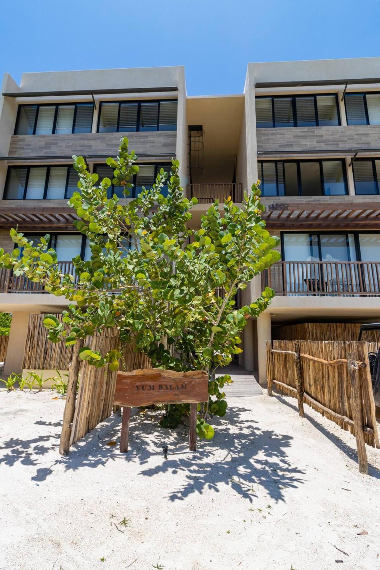 Hotel Pool View Loft Steps From The Ocean In Punta Cocos - C101 à Holbox Extérieur photo